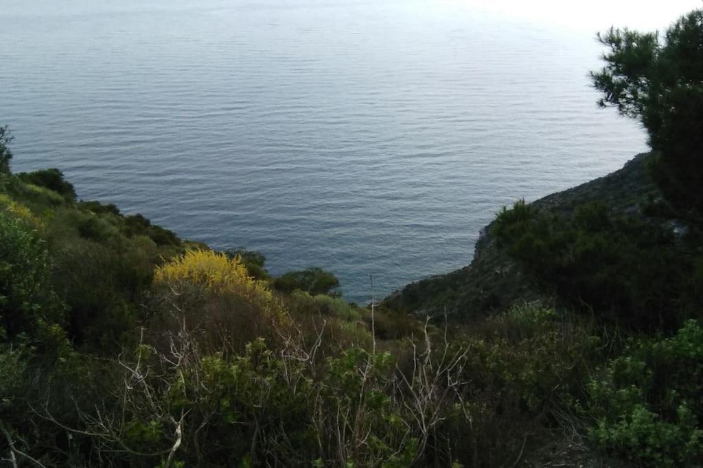 Nice Apartment On The Coast To Relax And Work カルタヘナ エクステリア 写真