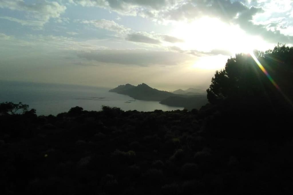 Nice Apartment On The Coast To Relax And Work カルタヘナ エクステリア 写真